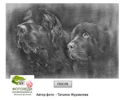 Cum de a face o fotografie a fotoledi desen creion