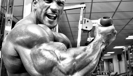 Cum de a construi mreana biceps, gantere la domiciliu (pentru exercitarea brahial) Cum de a construi mreana biceps, gantere la domiciliu