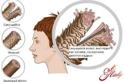 Așa cum este aplicat ulei de brusture pe par