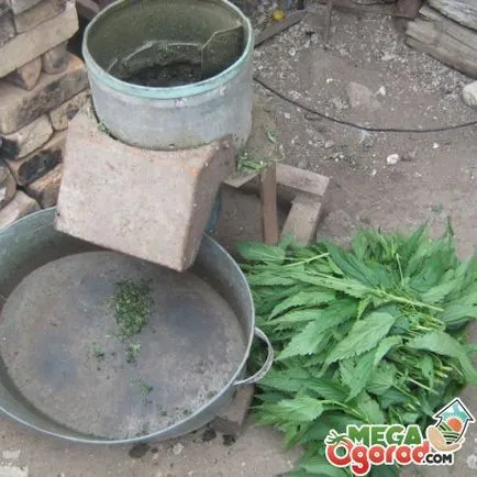 Cum pot face planta elicopter cu mâinile populare metode (cu mâinile) Cum pot face planta chopper cu mâinile sale căi populare