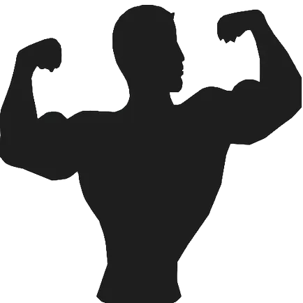 Cum de a construi mreana biceps, gantere la domiciliu (bar) Cum de a construi mreana biceps, gantere la domiciliu
