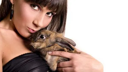 Ce ar trebui să ne numim nume amuzant de iepure și porecle pentru fete și copii (de sex feminin si masculin) (porecle) Ce ar trebui să ne numim nume amuzant de iepure și porecle pentru fete și băieți (femei și bărbați)