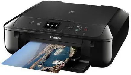 După cum a reseta cartuș Canon după reumplere trei moduri