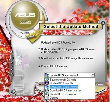 Cum de a actualiza BIOS-ul placii de baza - sistemul