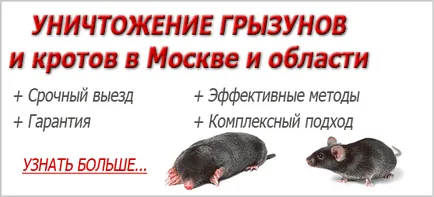 Ce miros se tem de șoareci și șobolani (miros) Ce miros se tem de șoareci și șobolani
