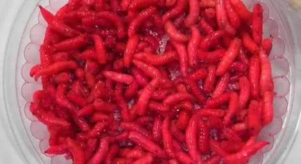 Cum să picteze viermilor roșii și aromă la domiciliu (vopsea) Cum să picteze viermilor roșii și cu aromă de acasă