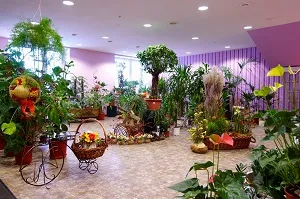 Cum de a deschide un magazin de flori, cu un început de zero, etapele de organizare de afaceri