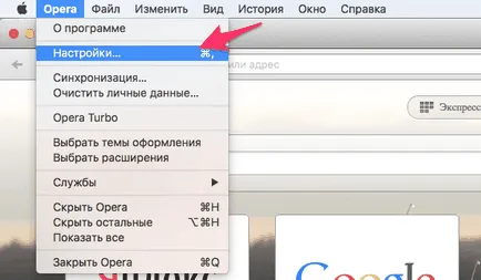 Cum de a deschide o setare în operă (opera) - instruire în