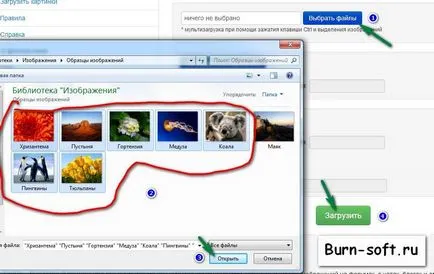 Pentru a trimite o captură de ecran la Internet pentru a contacta sau e-mail