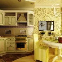 Cum de a alege monitorului pentru bucătărie color (foto, video)