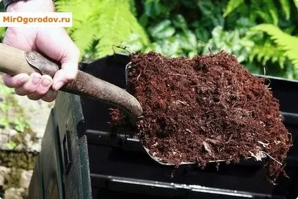 Cum acidifierea solului - top 4 moduri