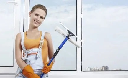Cum să se spele o fereastră în apartament fără divorț