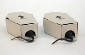 Cum de a prinde un mouse