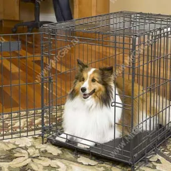 Cum sa alegi cusca caine potrivit pentru on-line magazin de animale dl Woof (celule) Cum sa alegi cusca caine potrivit pentru magazin pentru animale de companie on-line Dl wow