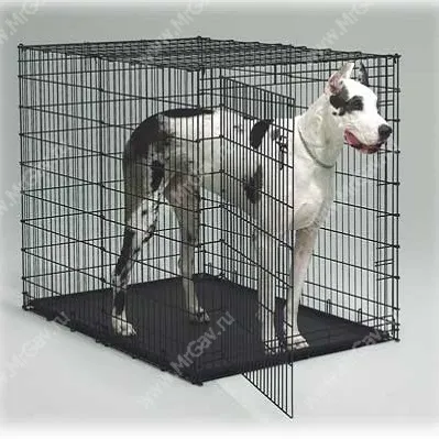 Cum sa alegi cusca caine potrivit pentru magazinul on-line pentru animale de companie Dl wow (pentru o cușcă de câine) Cum sa alegi cusca caine potrivit pentru magazin pentru animale de companie on-line Dl wow