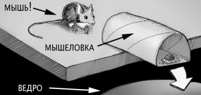 Cum de a prinde un mouse