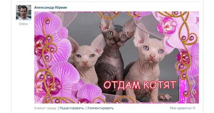 Cum de a posta în VKontakte