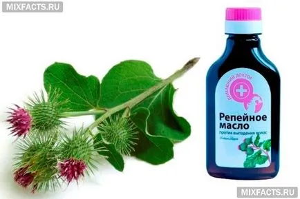 Cum se aplica ulei la brusture de păr 1 (aplicat) Cum se aplica ulei la brusture de păr 1