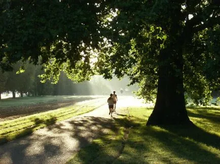 Cum de a rula în mod corespunzător și ușor de 1 km de timp (run) Cum de a rula în mod corespunzător și ușor de 1 km de timp
