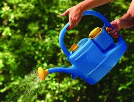 sulfat de magneziu eficiența utilizării îngrășămintelor, instrucțiuni pas cu pas!