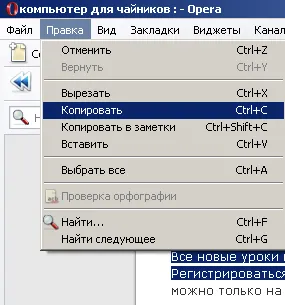 Cum de a lucra cu documente de pe Internet de pe computer
