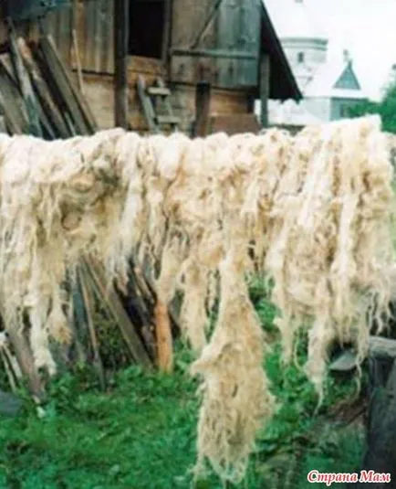 Cum să se rotească lână de oaie (ajutor filare ax) Cum să se rotească lână de oaie