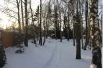 După cum stele din România bate joc de slujitorii săi - tot la știri rublei (zona de origine facilitatea de hectare) După cum stele din România bate joc de slujitorii săi - tot la știri rublei