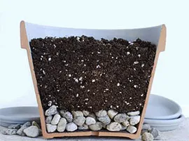 Ca plante Plante de casa Sfaturi oală opțional de sol și drenaj pentru așezarea corectă (plantă) Cum de a planta plante de interior, sfaturi pentru a alege o oală, sol și drenaj pentru fixare corespunzătoare