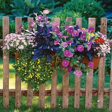 Ca o grădină de plantare pe un teren de doar câteva ore (zona) Ca o grădină de plantare pe un teren de doar câteva ore
