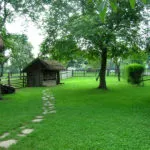 Cum sa faci un gazon în țară (41 poze) cu mâinile corect ceea ce este mai bine pentru a planta și cum de a decora,