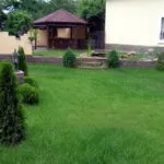 Cum sa faci un gazon în țară (41 poze) cu mâinile corect ceea ce este mai bine pentru a planta și cum de a decora,