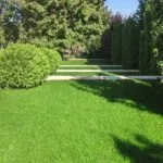 Cum sa faci un gazon în țară (41 poze) cu mâinile corect ceea ce este mai bine pentru a planta și cum de a decora,