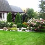Cum sa faci un gazon în țară (41 poze) cu mâinile corect ceea ce este mai bine pentru a planta și cum de a decora,