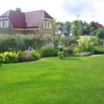 Cum sa faci un gazon în țară (41 poze) cu mâinile corect ceea ce este mai bine pentru a planta și cum de a decora,