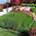 Cum sa faci un gazon în țară (41 poze) cu mâinile corect ceea ce este mai bine pentru a planta și cum de a decora,