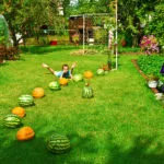 Cum sa faci un gazon în țară (41 poze) cu mâinile corect ceea ce este mai bine pentru a planta și cum de a decora,