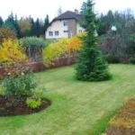 Cum sa faci un gazon în țară (41 poze) cu mâinile corect ceea ce este mai bine pentru a planta și cum de a decora,
