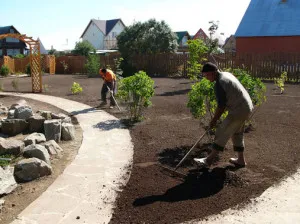 Cum sa faci un gazon în țară (41 poze) cu mâinile corect ceea ce este mai bine pentru a planta și cum de a decora,