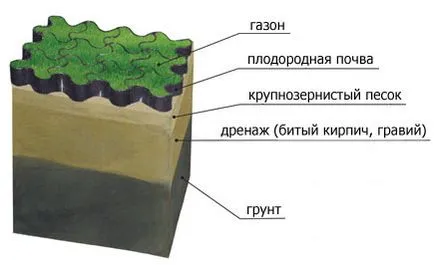 Cum sa faci un gazon în țară (41 poze) cu mâinile corect ceea ce este mai bine pentru a planta și cum de a decora,