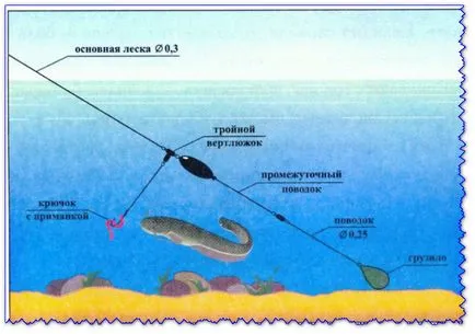 Cum sa faci o Donk la somn - procesul de fabricație și proiectarea uneltelor