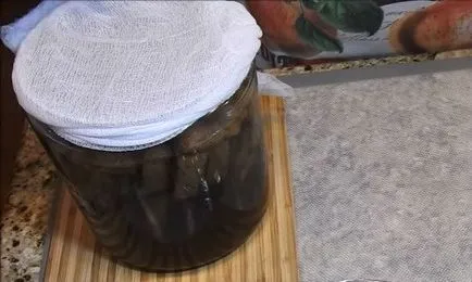 Cum sa faci o bere la domiciliu (condiții) Cum sa faci o bere la domiciliu