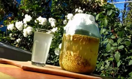 Cum sa faci acasă BREW (cvas) Cum sa faci o bere la domiciliu