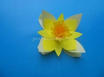 Cum de a face narcise de hârtie cu mâinile lor, treptat, fotografii (narcise) Cum de a face narcise de hârtie cu mâinile lor treptat fotografii