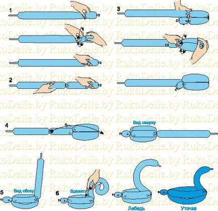 Cum de a face forme simple din baloane cârnați - cursuri online