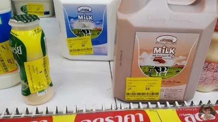 Cum de a economisi bani în Thailanda 30 de avocați moduri!