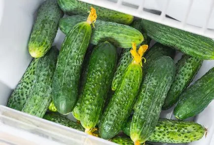 Cum să păstrați castraveți proaspeți lungi (castraveți) Cum să păstrați castraveți proaspete pentru o lungă perioadă de timp