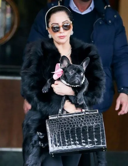 Cum să coase un sac de piele cu mâinile la domiciliu (lor) Cum să coase un sac de piele cu mâinile la domiciliu