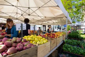 Cum de a cheltui mai puțini bani - dovedit moduri de a economisi