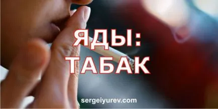 Cum de a deveni un om în adevăratul sens al cuvântului (sens) Cum de a deveni un om în sensul deplin al cuvântului