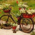 Cum de a decora o grădină (41 poze) proiecta propriile lor mâini, decorate cu flori și mijloace improvizate, (flori) Cum de a decora o grădină (41 poze) proiecta propriile lor mâini, decorate cu flori și mijloace improvizate,